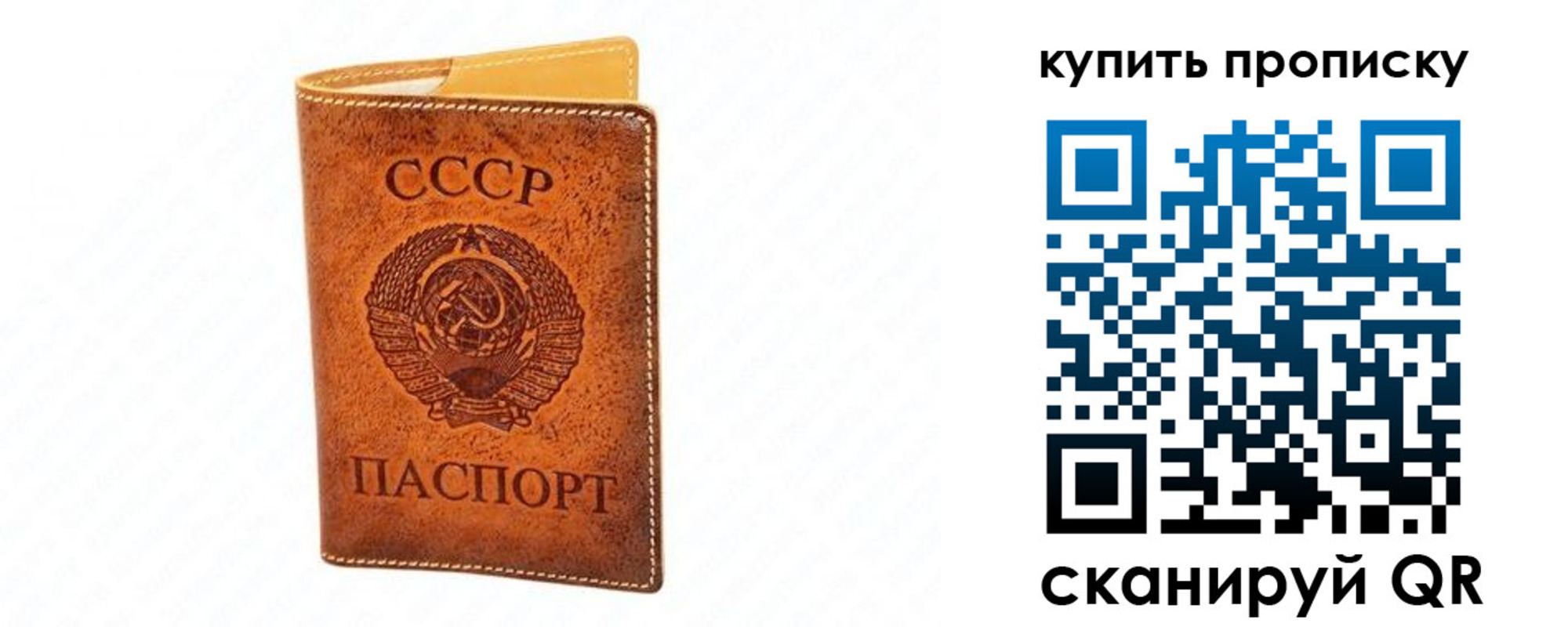 прописка поиск в Владивостоке