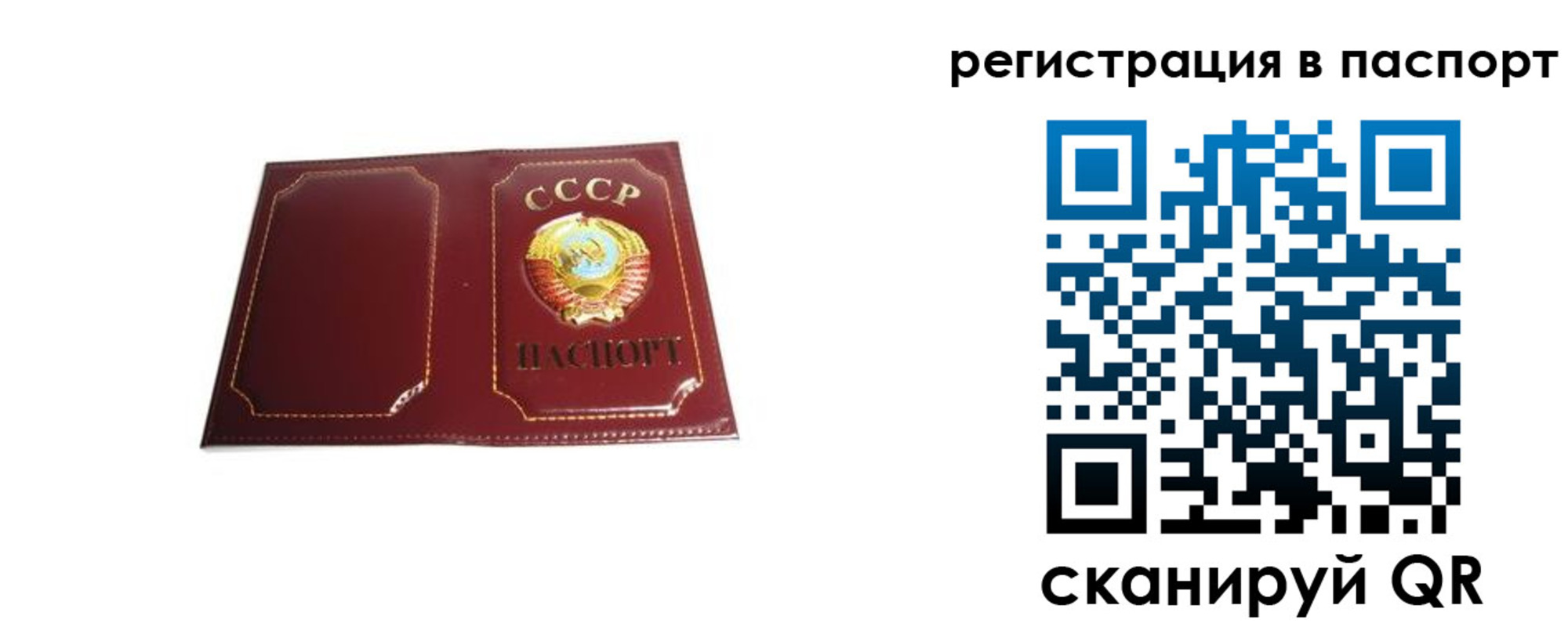 прописка 2025 в Владивостоке
